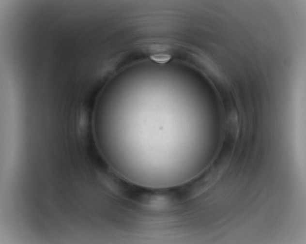 X0000114060412200910131149