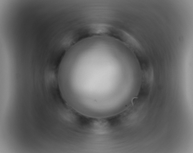 X0000114060415200910131149