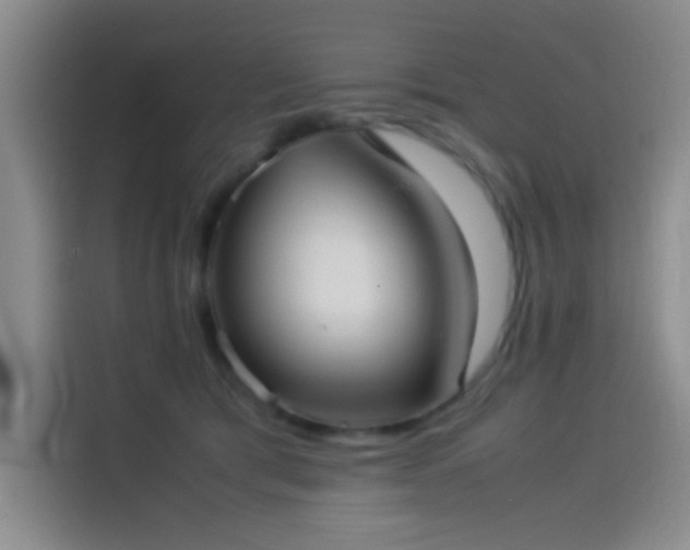 X0000114060417200910131149