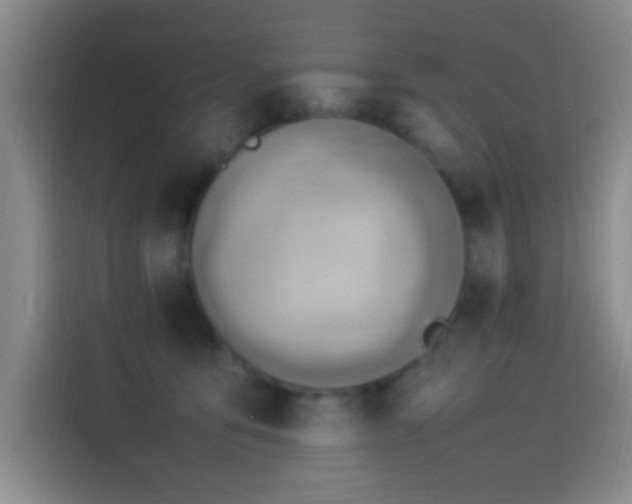 X0000114060419200910131149