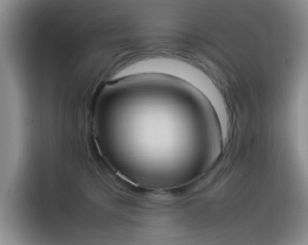 X0000114060421200910131149