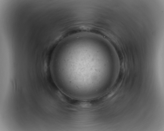 X0000114060424200910131149