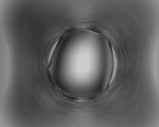 X0000114060425200910131149