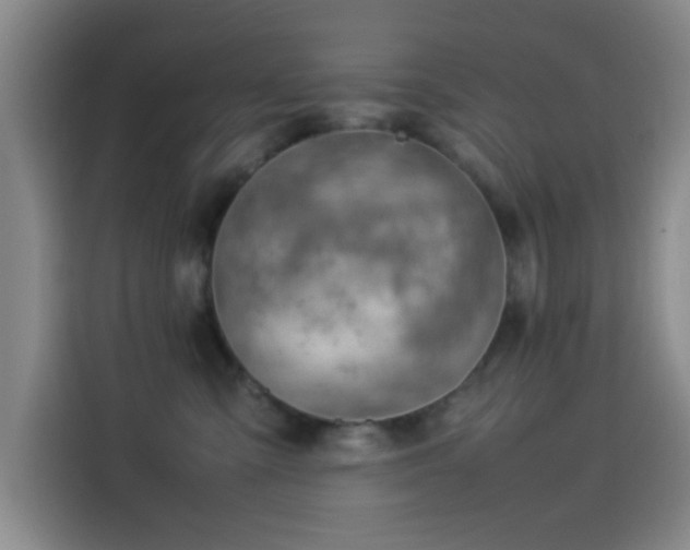 X0000114060427200910131149