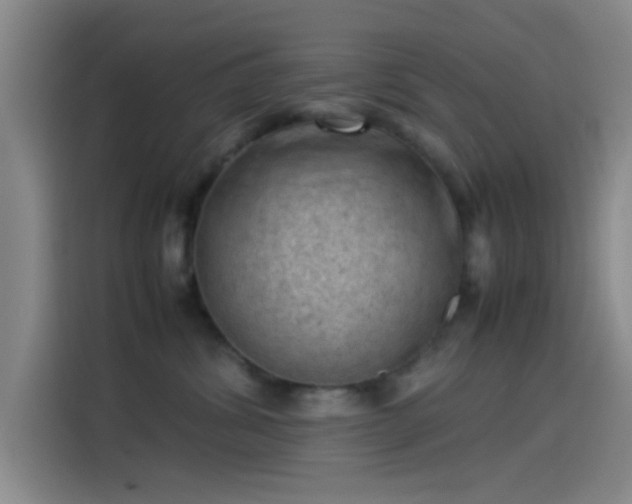 X0000114060428200910131149