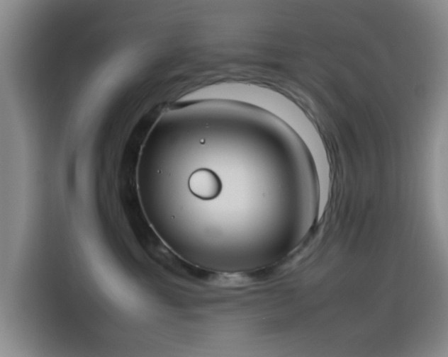 X0000114060429200910131149