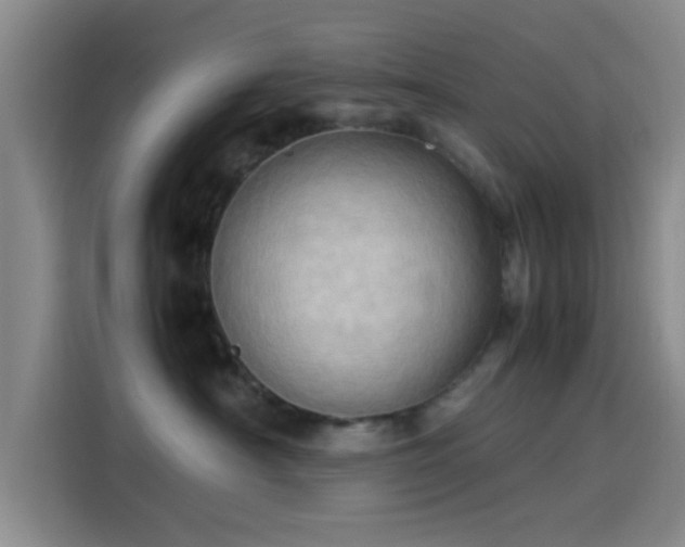 X0000114060430200910131149