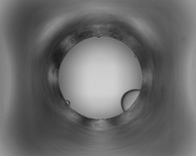 X0000114060431200910131149