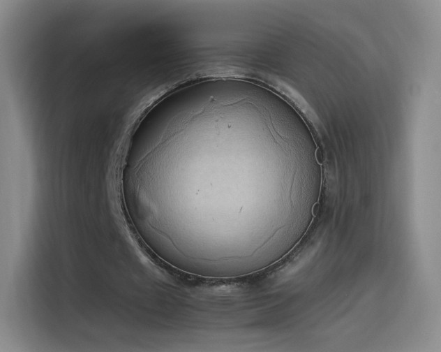 X0000114060433200910131148