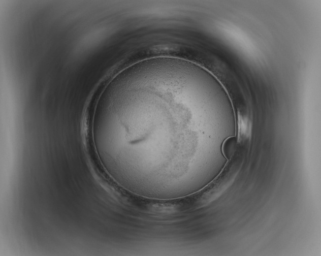 X0000114060435200910131148