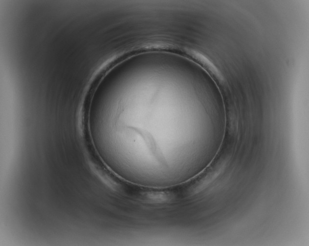 X0000114060439200910131149