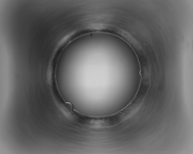 X0000114060440200910131149