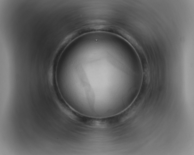 X0000114060442200910131149