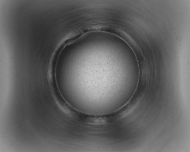 X0000114060443200910131149