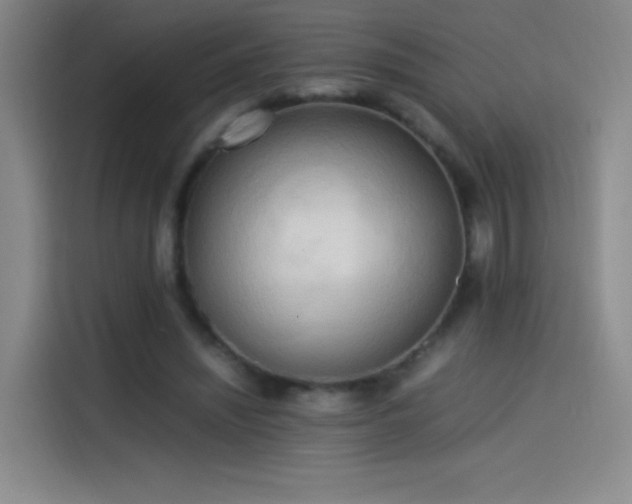 X0000114060444200910131149