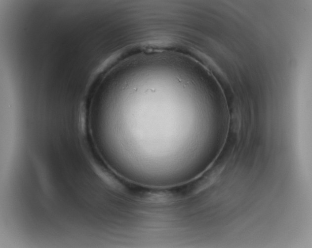 X0000114060446200910131149