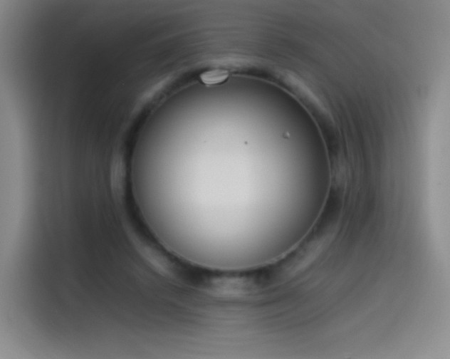 X0000114060448200910131149