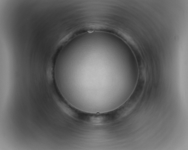 X0000114060450200910131149