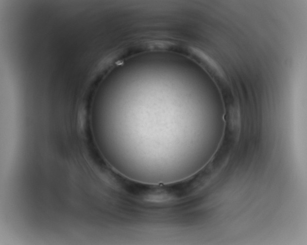 X0000114060451200910131149