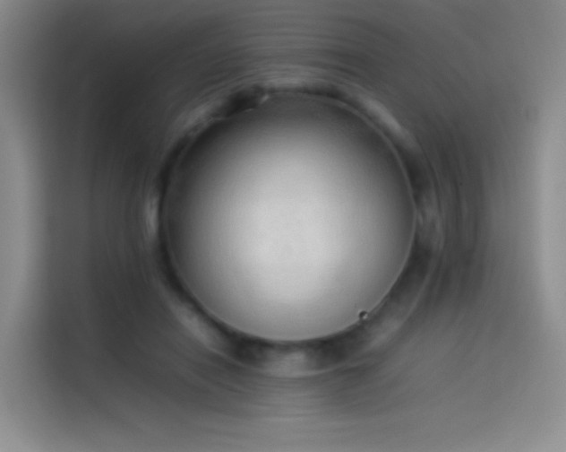 X0000114060454200910131149