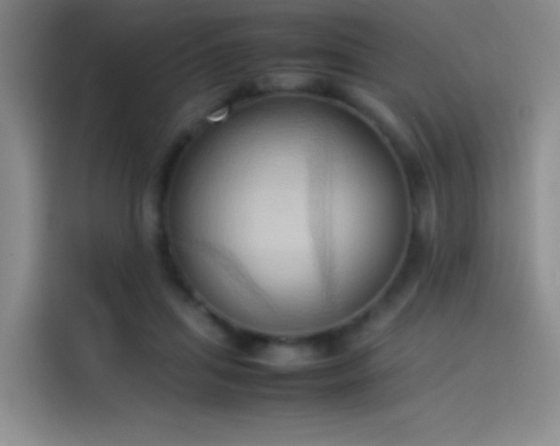 X0000114060455200910131149