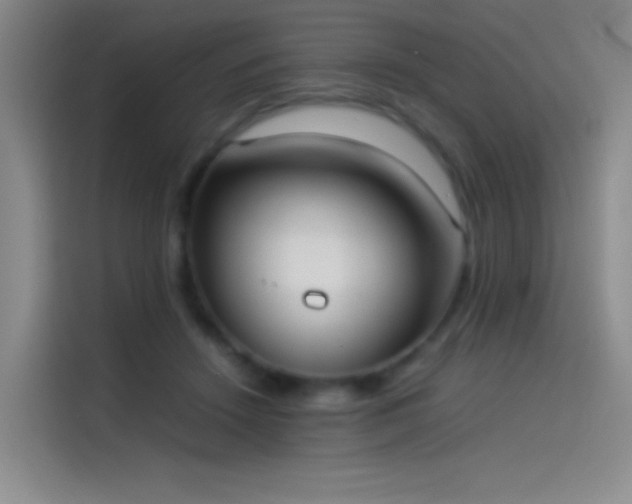 X0000114060456200910131149