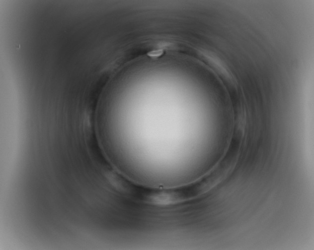 X0000114060461200910131149