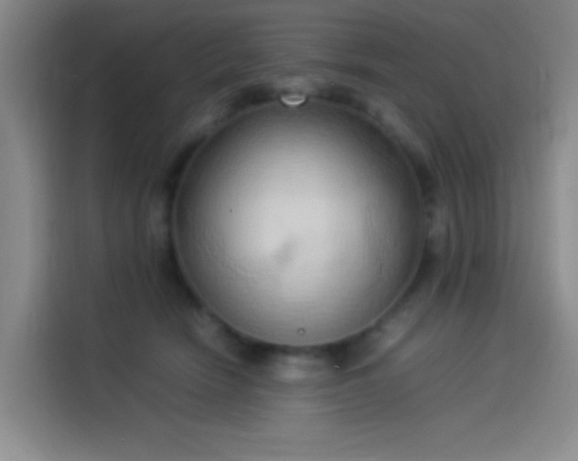 X0000114060466200910131149