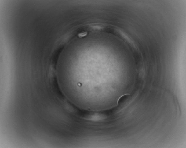 X0000114060467200910131149