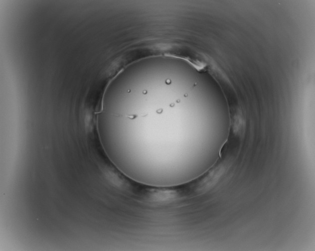 X0000114060476200910131149