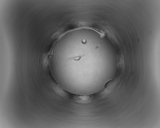 X0000114060478200910131149