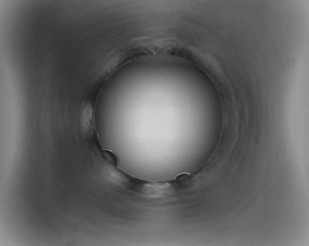 X0000114060480200910131149