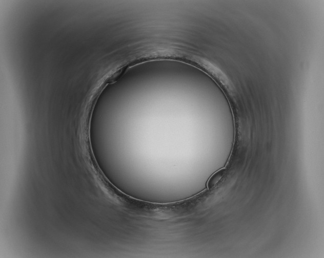 X0000114060481200910131148