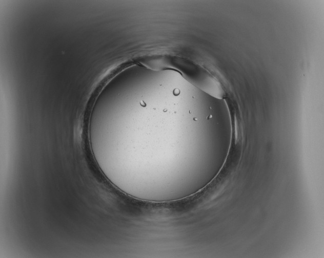 X0000114060483200910131148