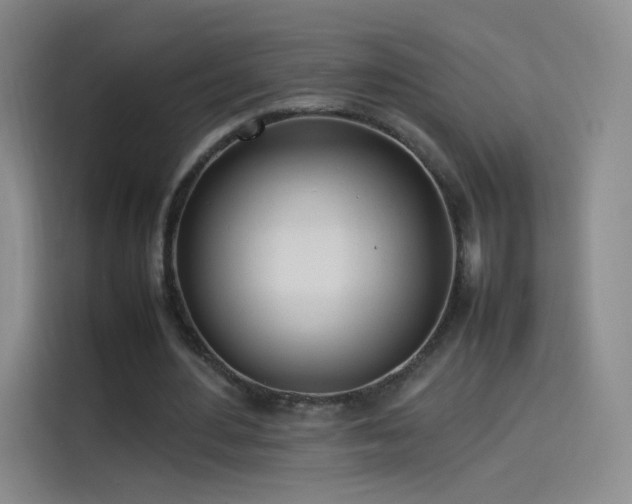 X0000114060484200910131148