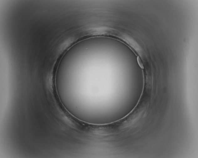 X0000114060485200910131148