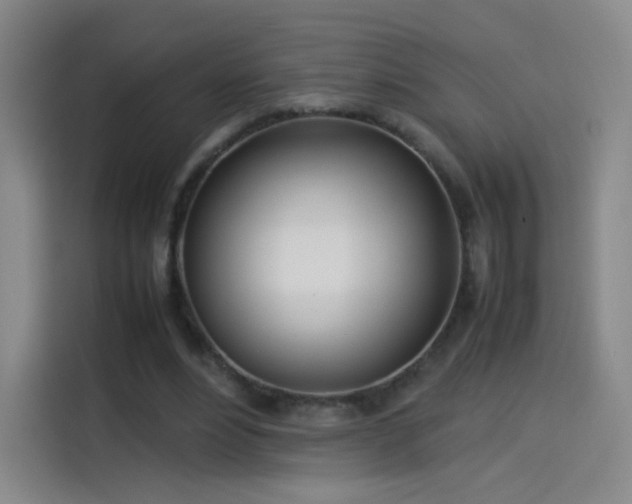 X0000114060488200910131148