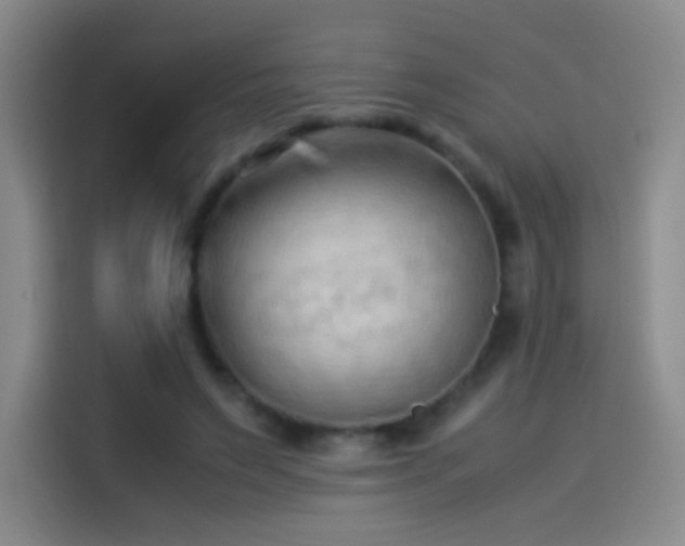 X0000114060495200910131148