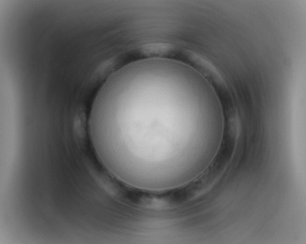 X0000114060498200910131148