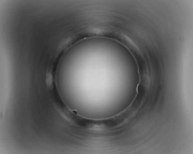 X0000114060500200910131148