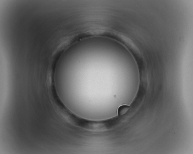 X0000114060501200910131148