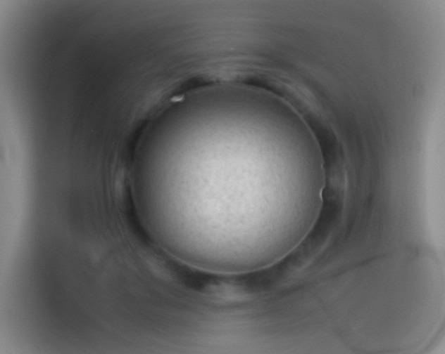 X0000114060503200910131148