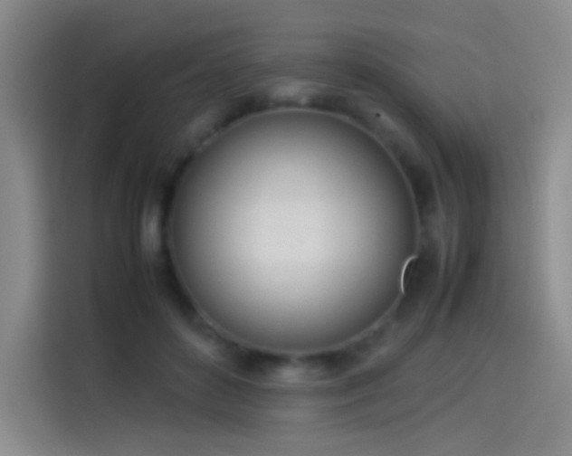 X0000114060504200910131148