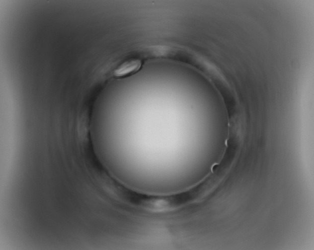 X0000114060509200910131148