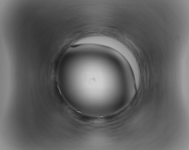 X0000114060513200910131148