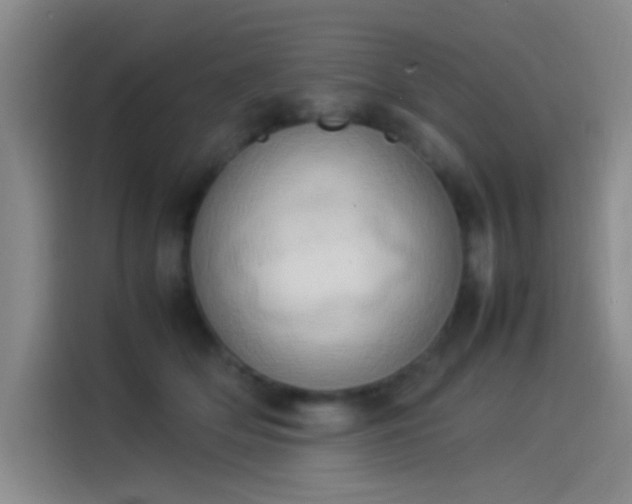 X0000114060514200910131148