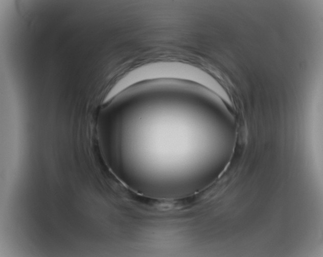 X0000114060521200910131148