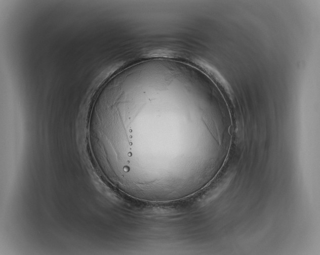 X0000114060529200910131147