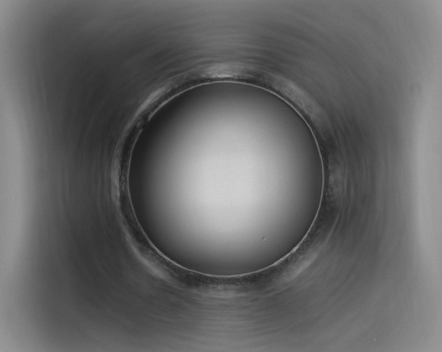 X0000114060530200910131147