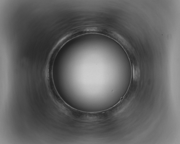 X0000114060531200910131147